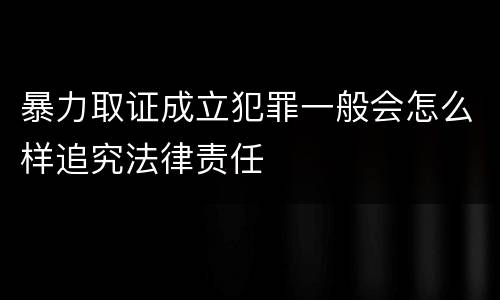 暴力取证成立犯罪一般会怎么样追究法律责任