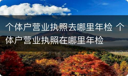 个体户营业执照去哪里年检 个体户营业执照在哪里年检