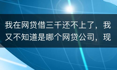 我在网贷借三千还不上了，我又不知道是哪个网贷公司，现在他们起诉我了，我会坐牢吗