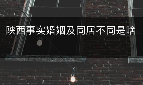 陕西事实婚姻及同居不同是啥