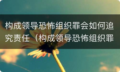 构成领导恐怖组织罪会如何追究责任（构成领导恐怖组织罪会如何追究责任呢）