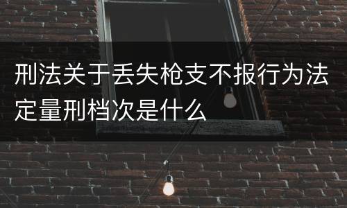 刑法关于丢失枪支不报行为法定量刑档次是什么