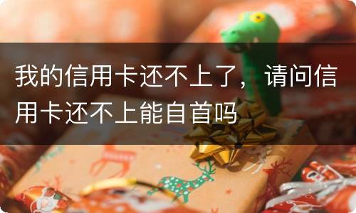 我的信用卡还不上了，请问信用卡还不上能自首吗