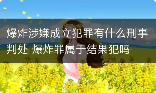 爆炸涉嫌成立犯罪有什么刑事判处 爆炸罪属于结果犯吗