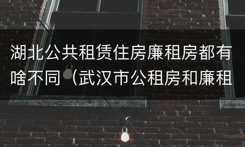 湖北公共租赁住房廉租房都有啥不同（武汉市公租房和廉租房区别）