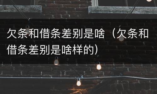 欠条和借条差别是啥（欠条和借条差别是啥样的）