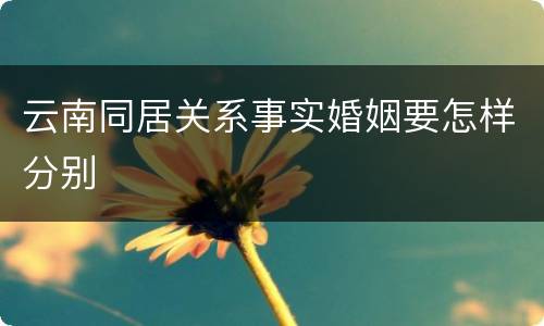 云南同居关系事实婚姻要怎样分别