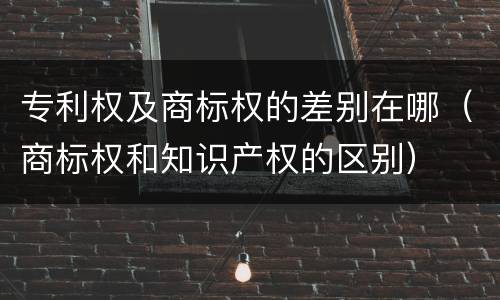 专利权及商标权的差别在哪（商标权和知识产权的区别）