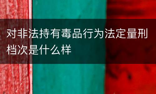 对非法持有毒品行为法定量刑档次是什么样