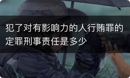 犯了对有影响力的人行贿罪的定罪刑事责任是多少