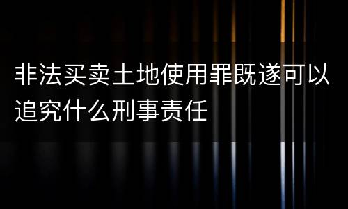 非法买卖土地使用罪既遂可以追究什么刑事责任