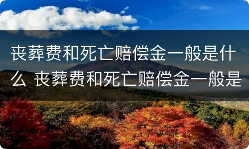 丧葬费和死亡赔偿金一般是什么 丧葬费和死亡赔偿金一般是什么时候发放