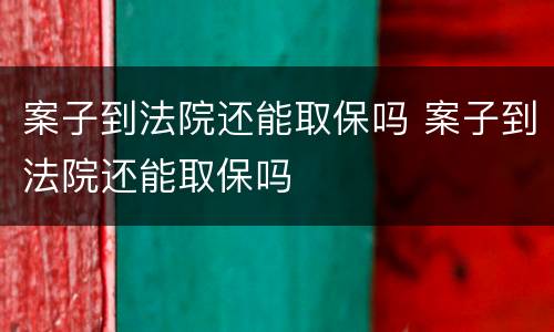 案子到法院还能取保吗 案子到法院还能取保吗