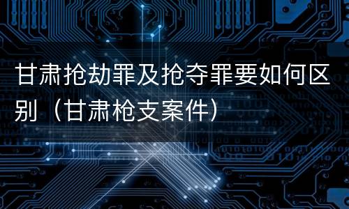 甘肃抢劫罪及抢夺罪要如何区别（甘肃枪支案件）