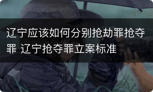 辽宁应该如何分别抢劫罪抢夺罪 辽宁抢夺罪立案标准