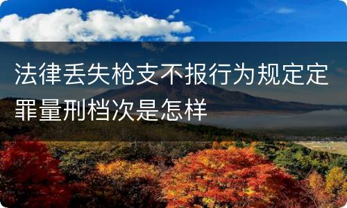 法律丢失枪支不报行为规定定罪量刑档次是怎样