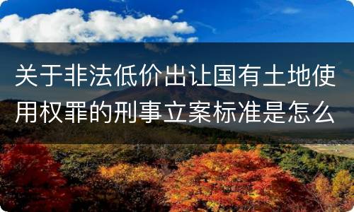 关于非法低价出让国有土地使用权罪的刑事立案标准是怎么规定