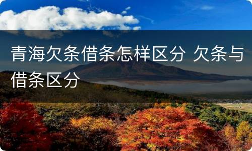 青海欠条借条怎样区分 欠条与借条区分