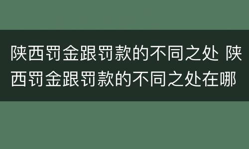 陕西罚金跟罚款的不同之处 陕西罚金跟罚款的不同之处在哪