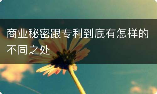 商业秘密跟专利到底有怎样的不同之处