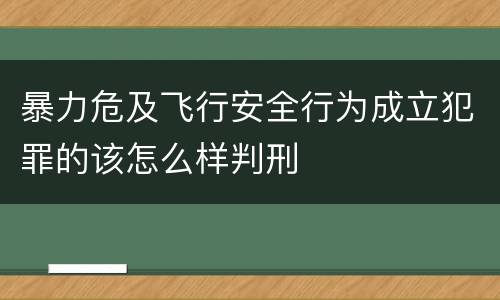 暴力危及飞行安全行为成立犯罪的该怎么样判刑
