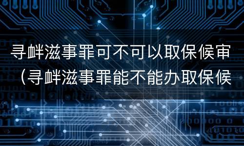 寻衅滋事罪可不可以取保候审（寻衅滋事罪能不能办取保候审）