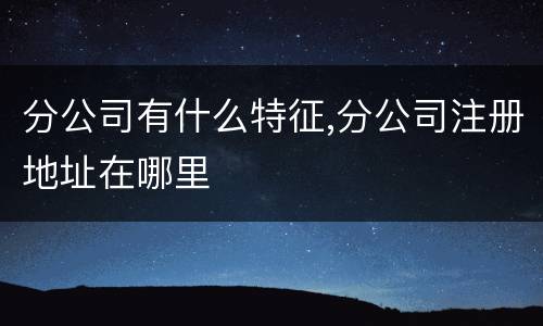 分公司有什么特征,分公司注册地址在哪里