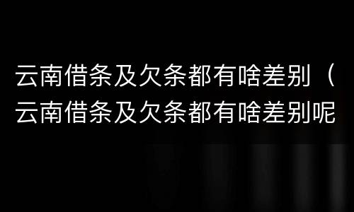 云南借条及欠条都有啥差别（云南借条及欠条都有啥差别呢）