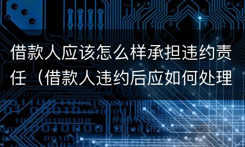 借款人应该怎么样承担违约责任（借款人违约后应如何处理）
