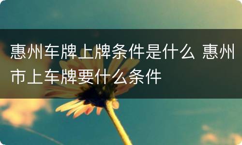 惠州车牌上牌条件是什么 惠州市上车牌要什么条件