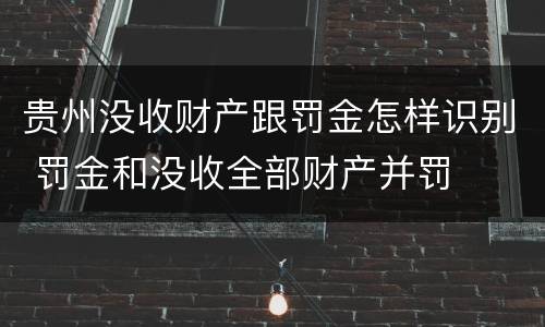 贵州没收财产跟罚金怎样识别 罚金和没收全部财产并罚