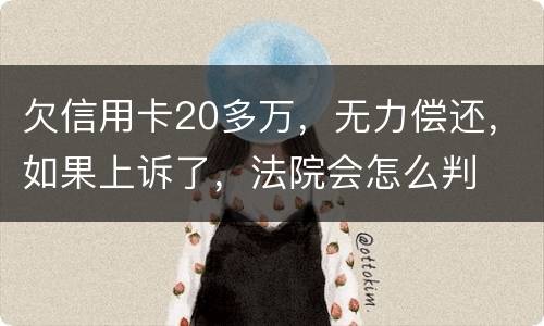 欠信用卡20多万，无力偿还，如果上诉了，法院会怎么判