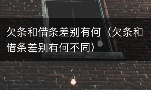 欠条和借条差别有何（欠条和借条差别有何不同）