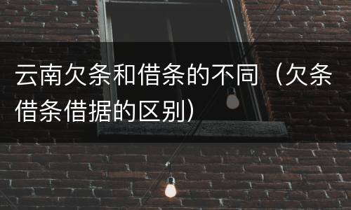 云南欠条和借条的不同（欠条借条借据的区别）