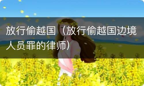 放行偷越国（放行偷越国边境人员罪的律师）