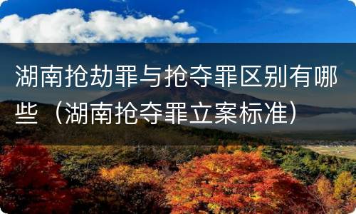 湖南抢劫罪与抢夺罪区别有哪些（湖南抢夺罪立案标准）