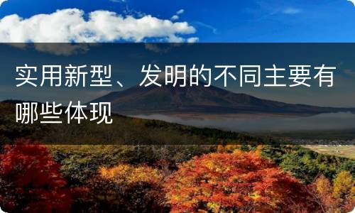 实用新型、发明的不同主要有哪些体现
