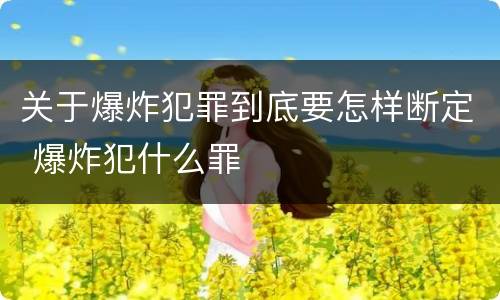 关于爆炸犯罪到底要怎样断定 爆炸犯什么罪
