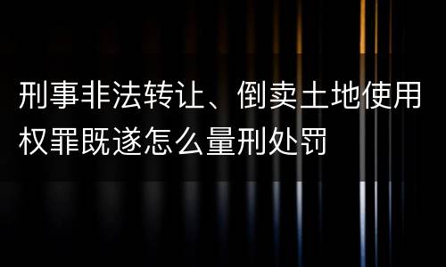 刑事非法转让、倒卖土地使用权罪既遂怎么量刑处罚