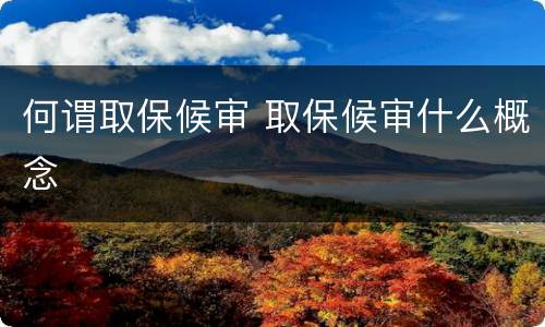 何谓取保候审 取保候审什么概念