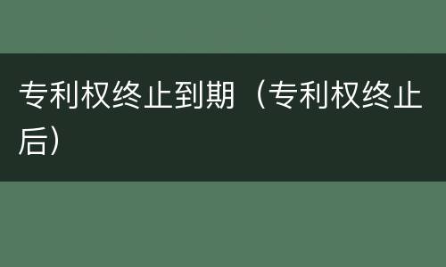 专利权终止到期（专利权终止后）