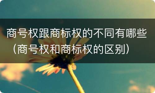 商号权跟商标权的不同有哪些（商号权和商标权的区别）