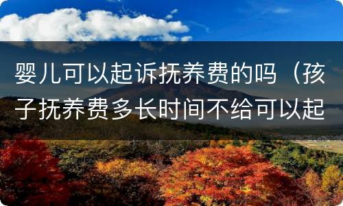 婴儿可以起诉抚养费的吗（孩子抚养费多长时间不给可以起诉）