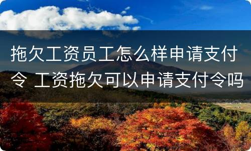 拖欠工资员工怎么样申请支付令 工资拖欠可以申请支付令吗