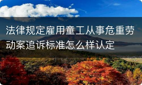 法律规定雇用童工从事危重劳动案追诉标准怎么样认定