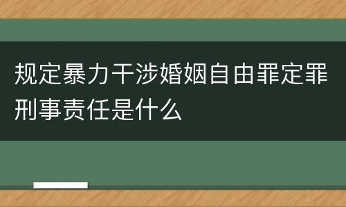 规定暴力干涉婚姻自由罪定罪刑事责任是什么