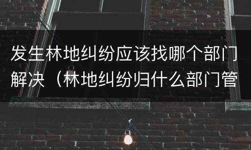 发生林地纠纷应该找哪个部门解决（林地纠纷归什么部门管）