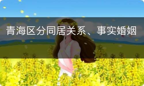 青海区分同居关系、事实婚姻