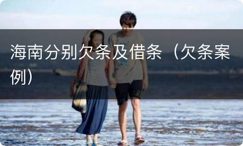 海南分别欠条及借条（欠条案例）