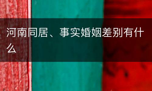 河南同居、事实婚姻差别有什么